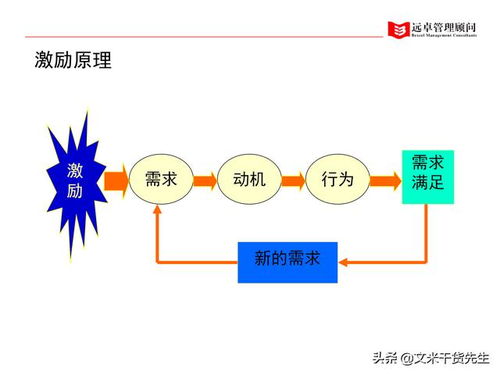 知名咨詢公司客戶案例 100頁人力資源管理的全面提升