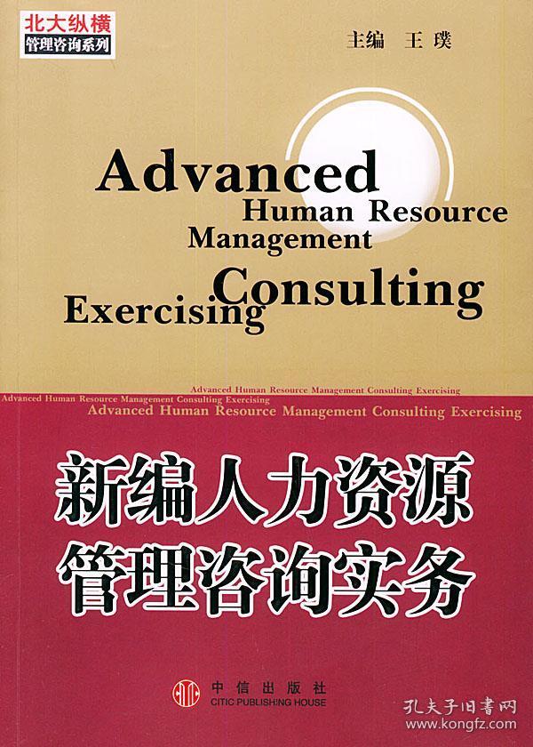 新編人力資源管理咨詢實(shí)務(wù) 現(xiàn)代企業(yè)必備的服務(wù)指南